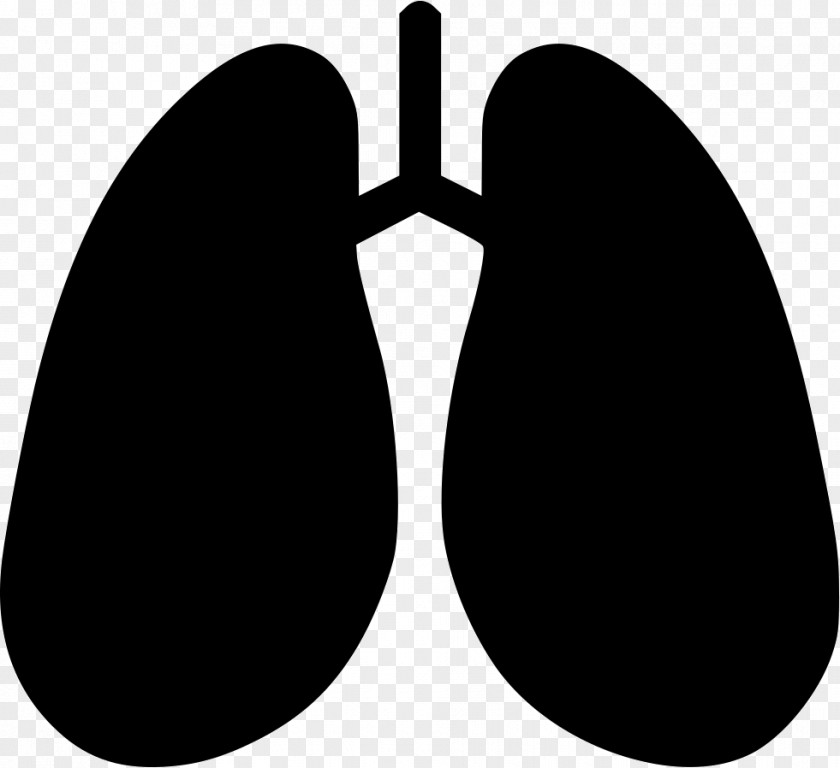 Of Lungs Clip Art Lung Breathing Pulmonology PNG