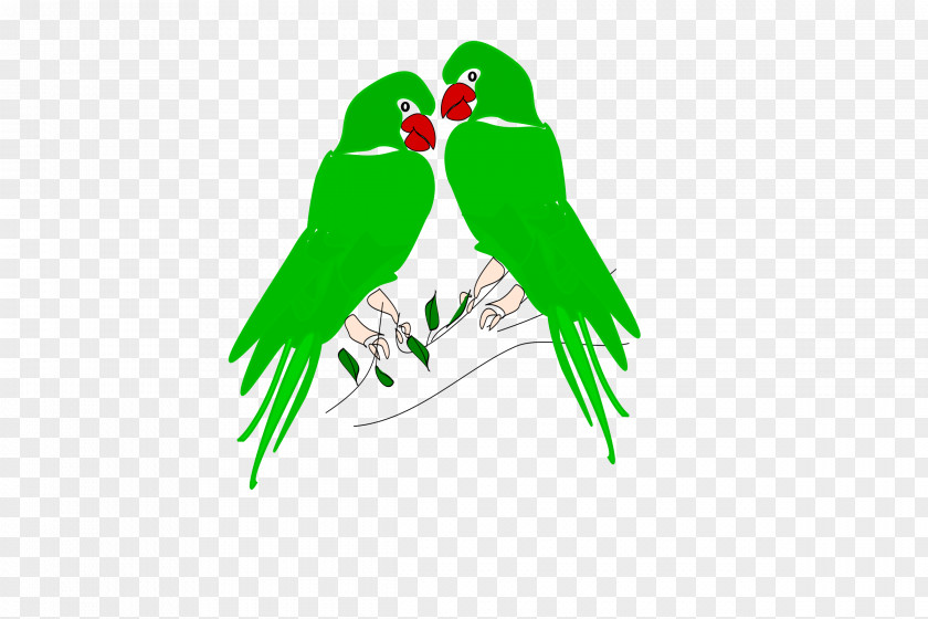 Parrot Bird Clip Art PNG