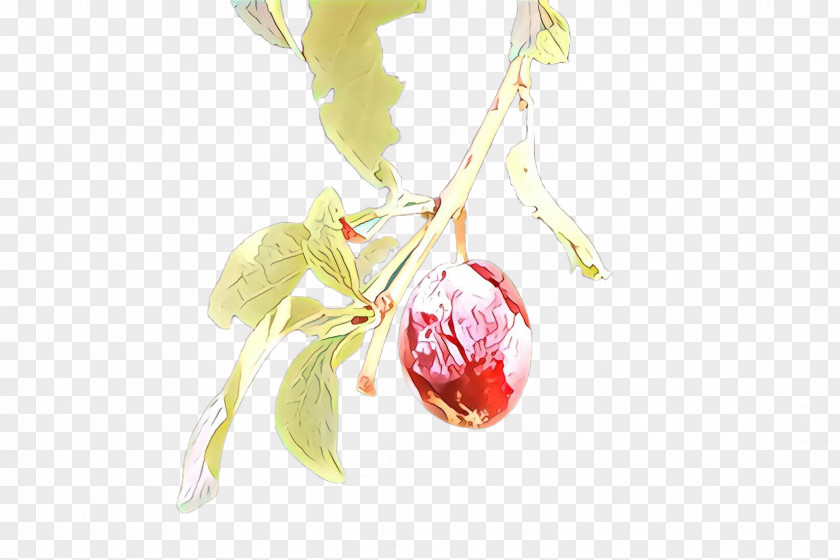 Plant Flower Fruit Food PNG