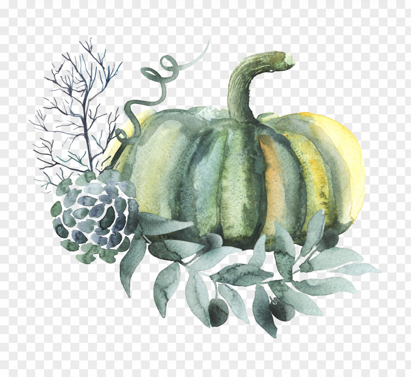 Pumpkin Watercolor Painting Vegetable PNG
