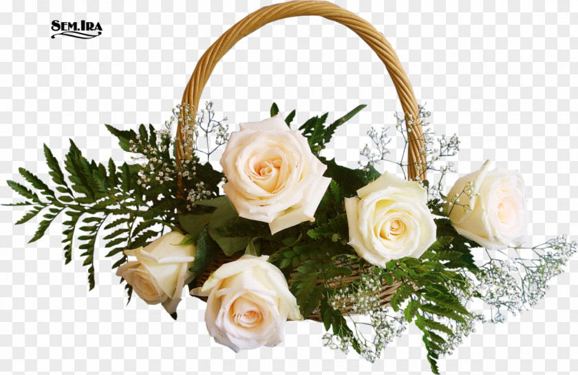 White Roses Desktop Wallpaper Metaphor Flower Bouquet Birthday PNG