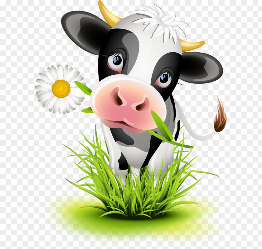 Cow Cattle Calf Cartoon Illustration PNG