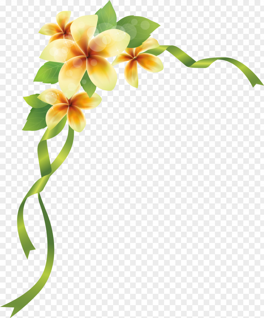 Flower Corner PNG