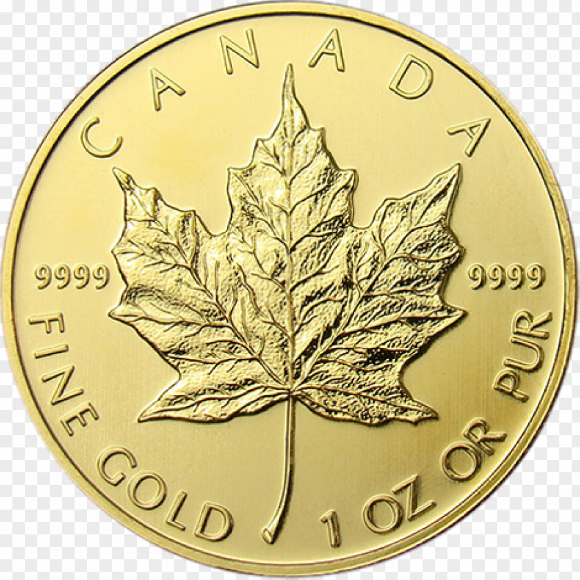 Gold Coins Canada Canadian Maple Leaf Bullion Coin PNG