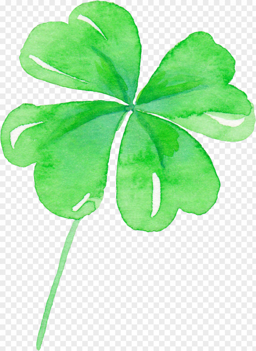 Hand Painted Summer Green Plant Clover Watercolor Painting Leaf Flat Design PNG