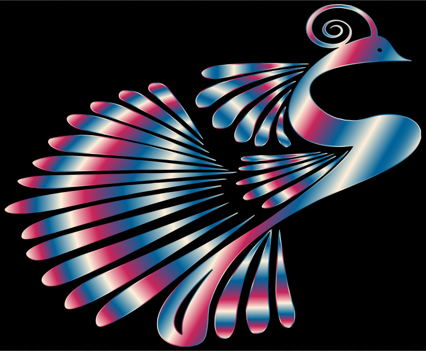 Peacock Vertebrate Graphic Design Desktop Wallpaper PNG