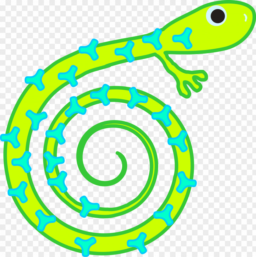 Reptile Lizard Chameleons Clip Art PNG