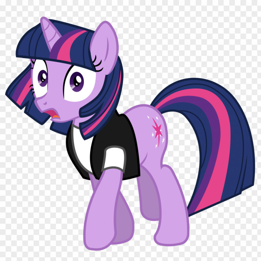 Twilight Sign Sparkle Rarity Pony Rainbow Dash Image PNG