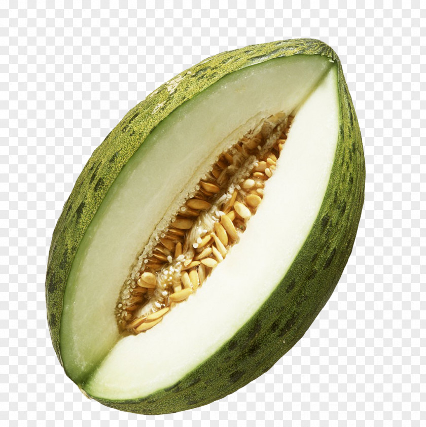 A Melon Honeydew Galia Icon PNG
