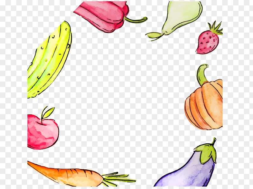 Fruits And Vegetables Circle Vegetarian Cuisine Vegetable Fruit PNG