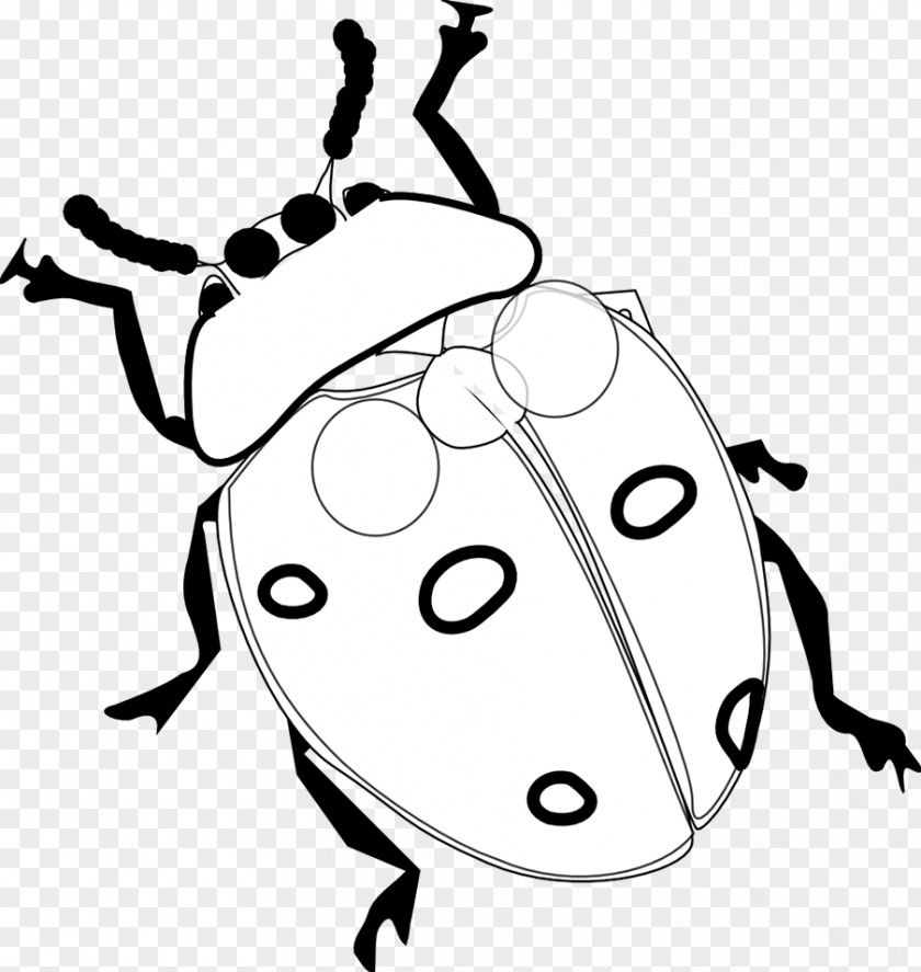 Ladybugs Ladybird Beetle Coloring Book Clip Art PNG