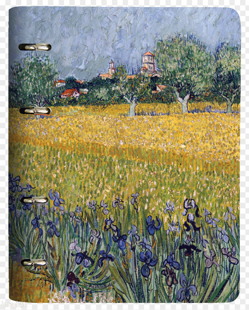 Painting Van Gogh Museum View Of Arles With Irises In The Foreground Arles, Flowering Orchards Self-portrait PNG