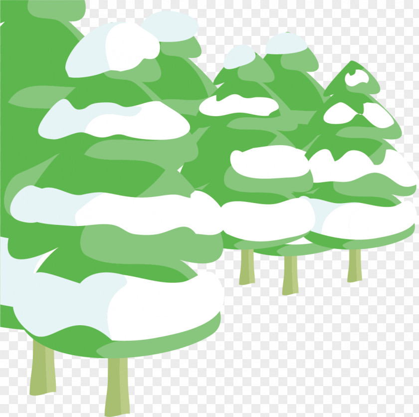 Pine Snow Daxue PNG
