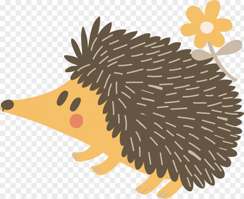 Vector Cute Hedgehog Porcupine Echidna Illustration PNG