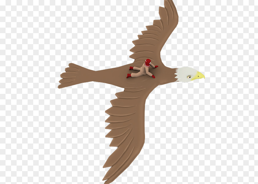 Bird Ducks, Geese And Swans Water Eagle Polycount PNG