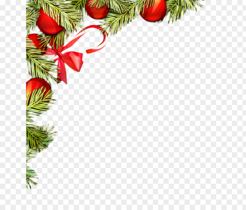 Christmas Eve Interior Design Tree Branch PNG