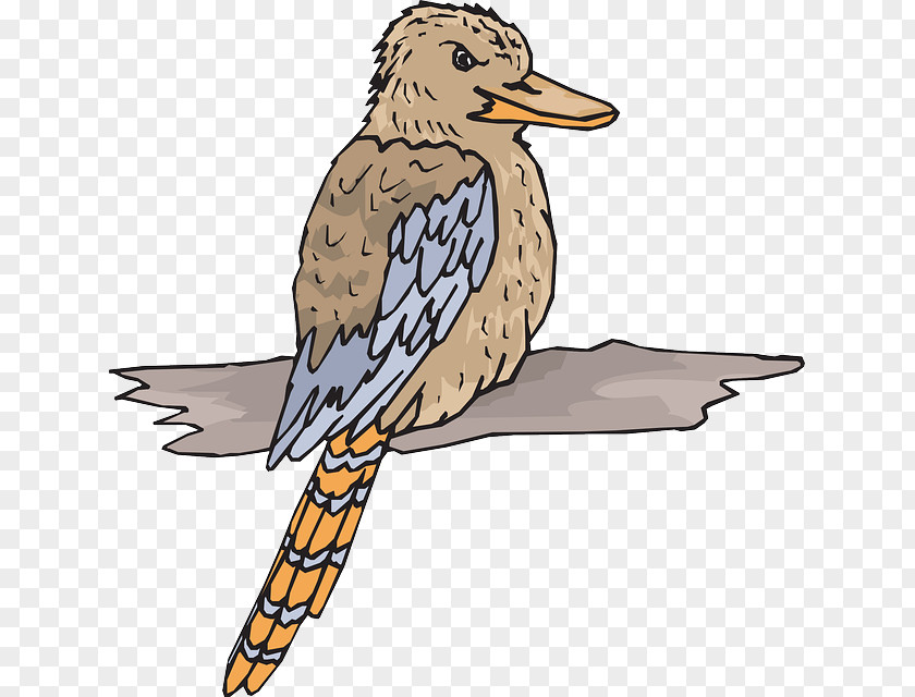 Cola Swirl Laughing Kookaburra Bird Clip Art PNG