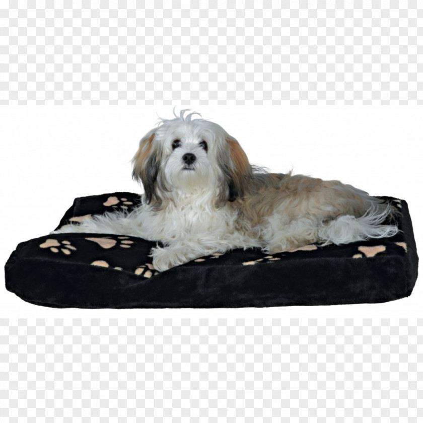Dog Breed Cushion Chair Couch PNG