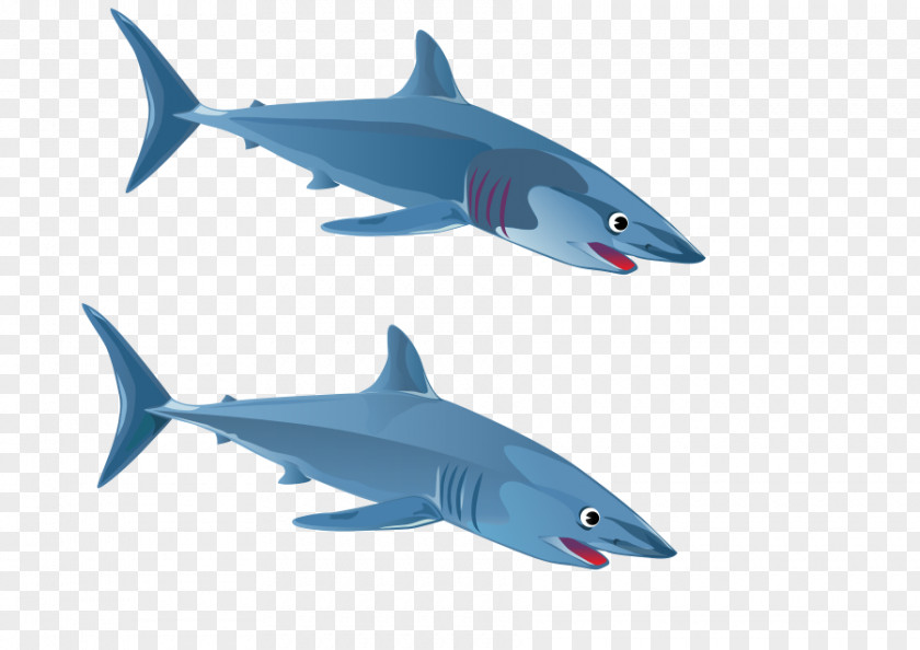 Free Fish Photos Great White Shark Clip Art PNG