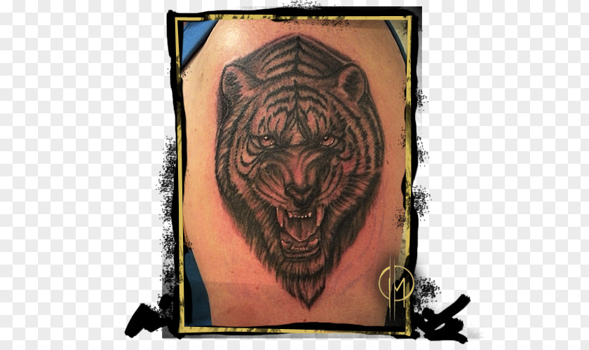 Tiger Tattoo Drawing Clip Art PNG