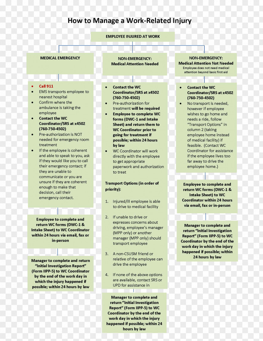 Creative Flowchart Brochure PNG