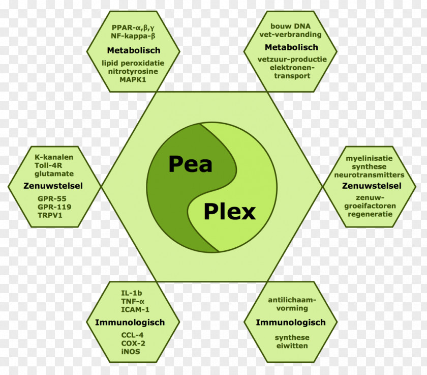 Palmitoylethanolamide Analgesic Stichting IOCOB Therapy Pain PNG