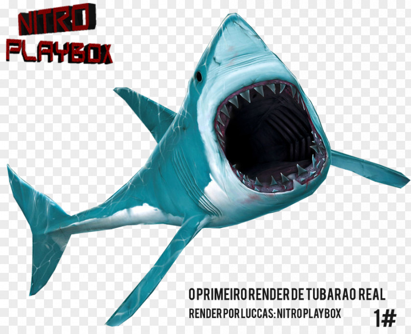 Shark Requiem Sharks Tubarão Great White Brazilian Real PNG