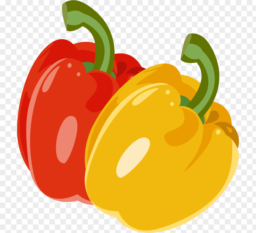 Pepper Vector Material Bell Adobe Illustrator PNG