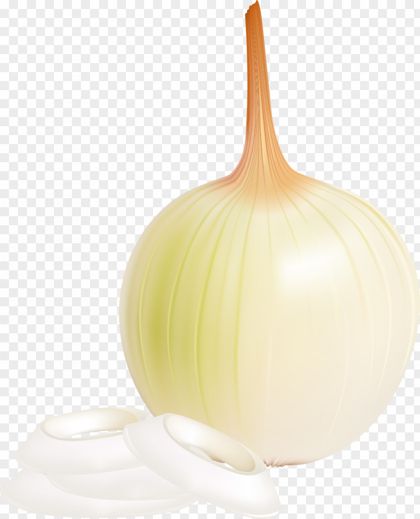 Vegetable Yellow Onion Food PNG