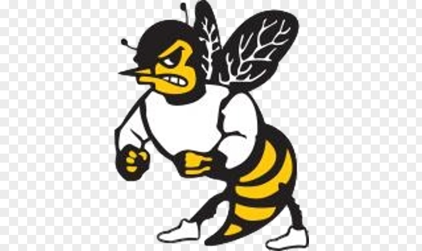 Hornet Mascot Football Leavitt Area High School Honey Bee National Secondary Matthews Way PNG