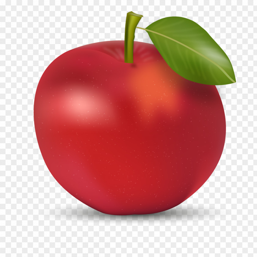 Vector Red Apple PNG