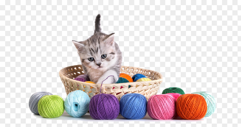 Cat Kitten Yarn Thread Crochet PNG