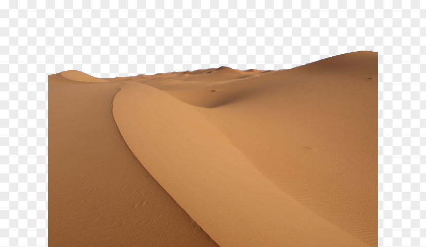 Endless Desert Singing Sand Dune Close-up Erg PNG