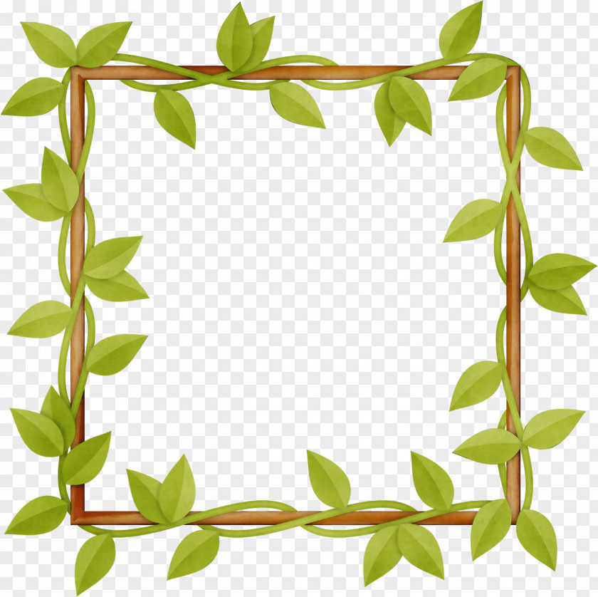 Ivy Flower Watercolor Leaves Frame PNG