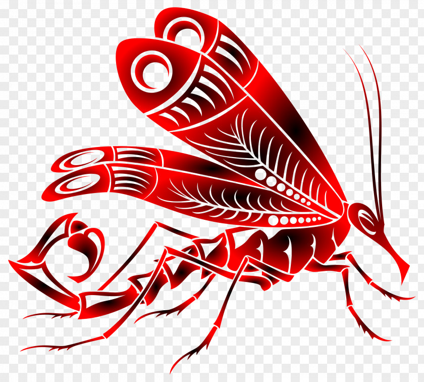 Mosquito Scorpion Clip Art PNG