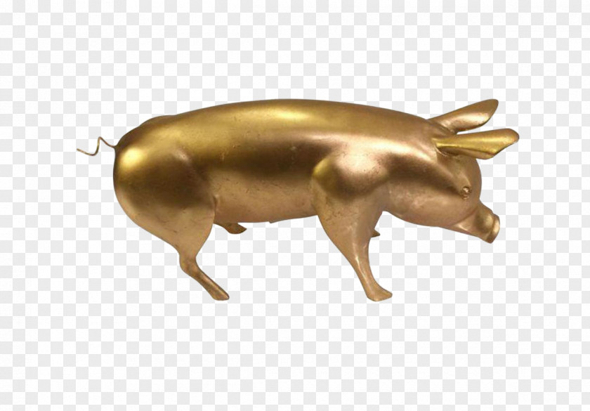 Pig Brass Cattle 01504 Bronze PNG