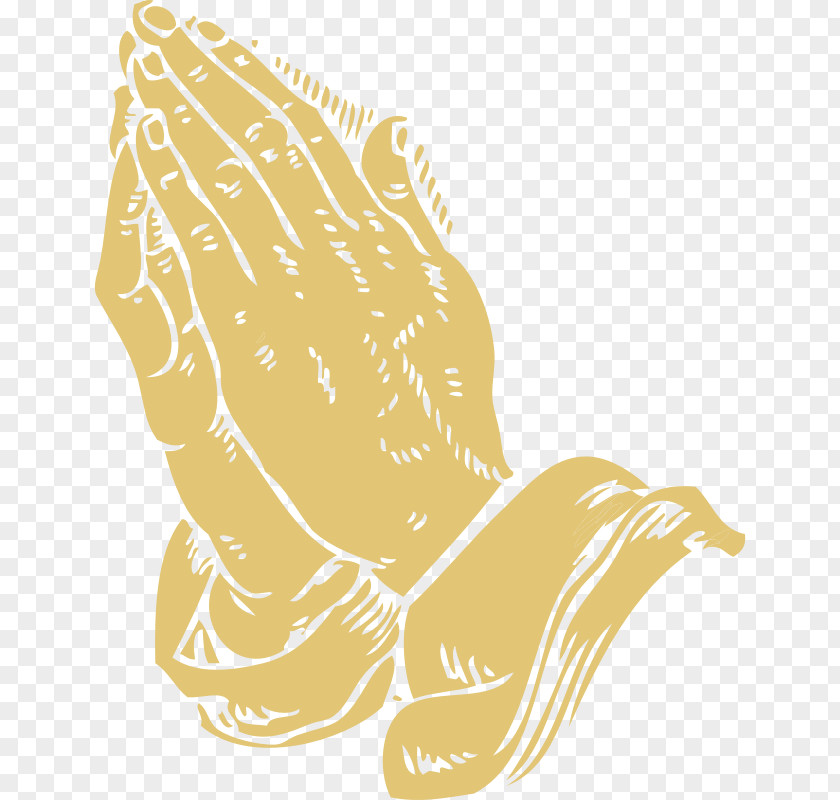 Praying Hands Images Free Bible Study Prayer God Life PNG