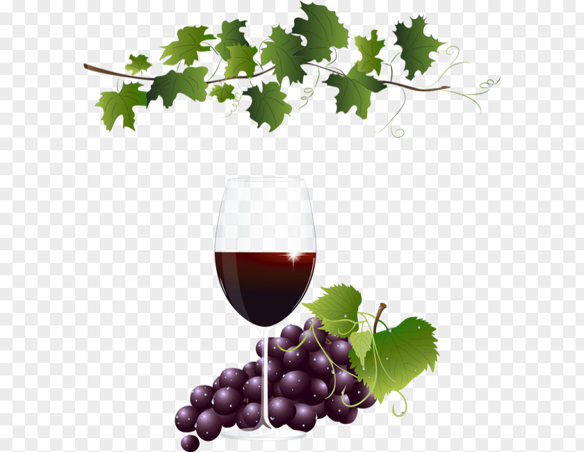 Wine Glass PNG