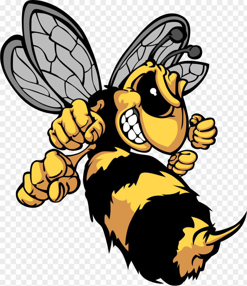 Bumble Bee Hornet Insect Yellowjacket PNG