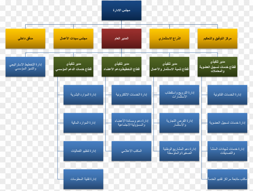 Business Organizational Chart Company Engineering PNG