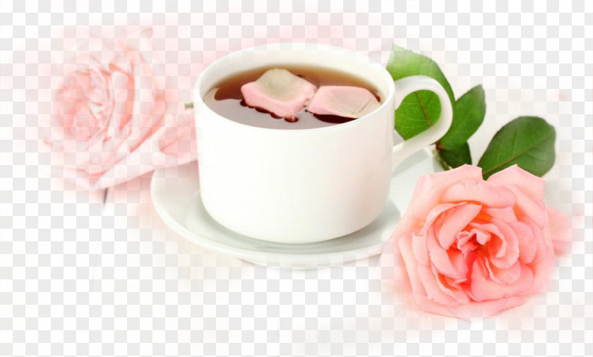 Coffee Bubble Tea Flowering Herbal PNG