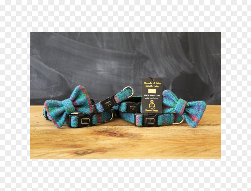 Collar Dog Textile Turquoise PNG