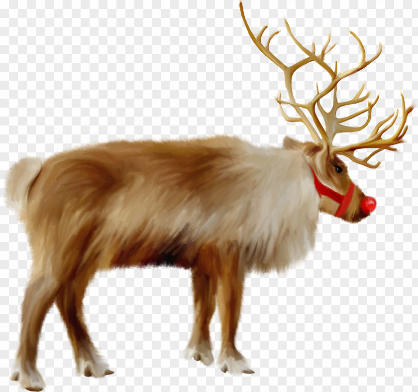 Reindeer Santa Claus's Christmas Sápmi PNG