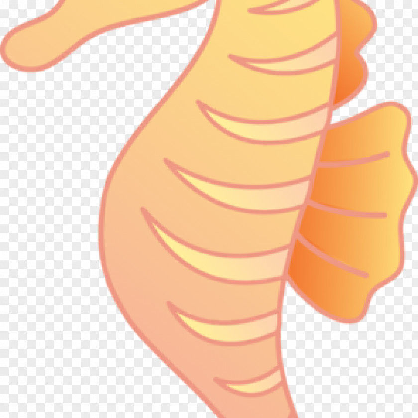 Seahorse Shareware Treasure Chest: Clip Art Collection Openclipart Pipefishes And Allies PNG