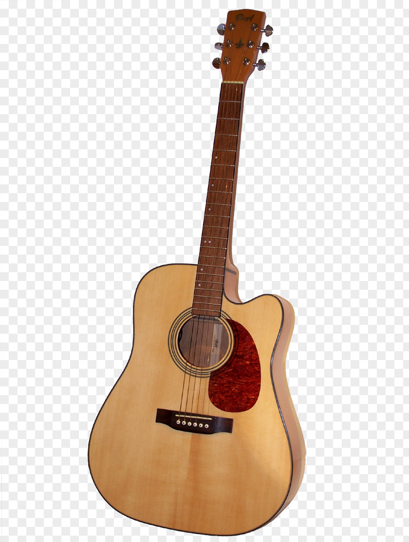 An Acoustic Guitar Amplifier Acoustic-electric PNG