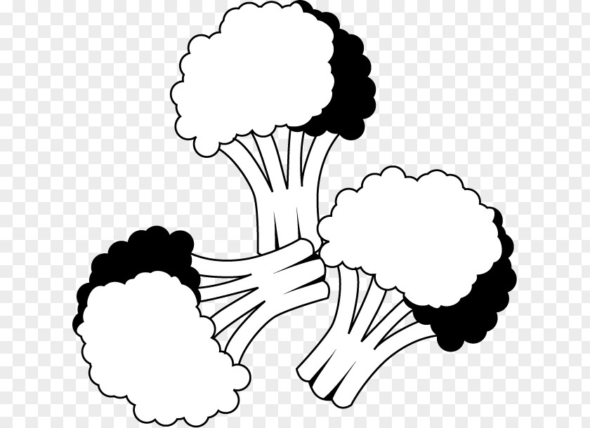 Broccoli Line Art Vegetable Drawing Clip PNG
