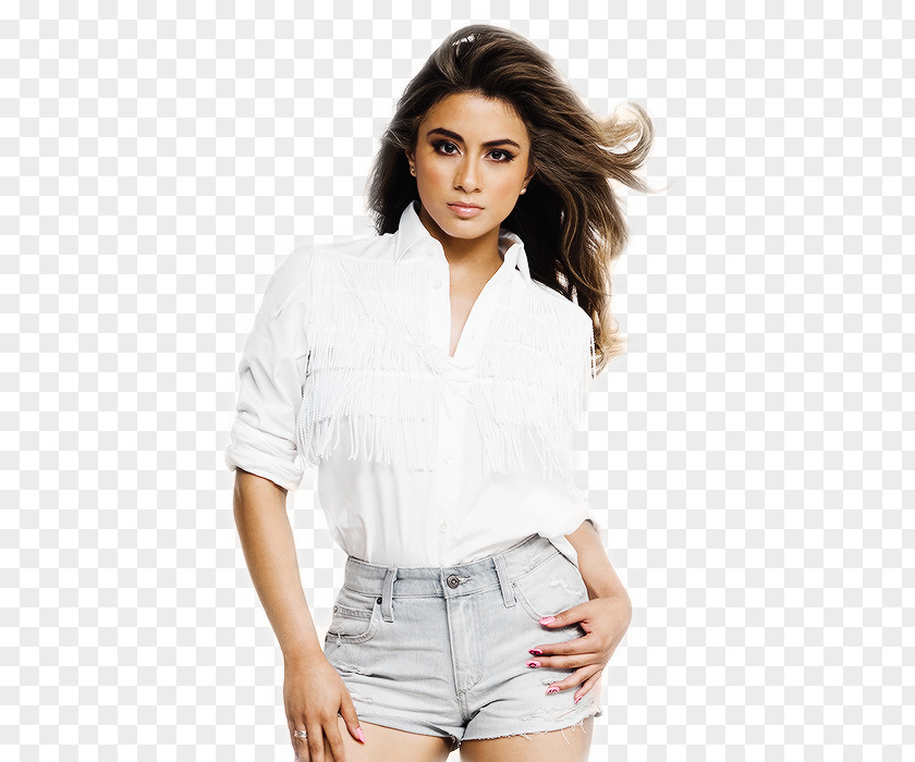 Harmony Ally Brooke Fifth The Reflection Tour Sledgehammer PNG