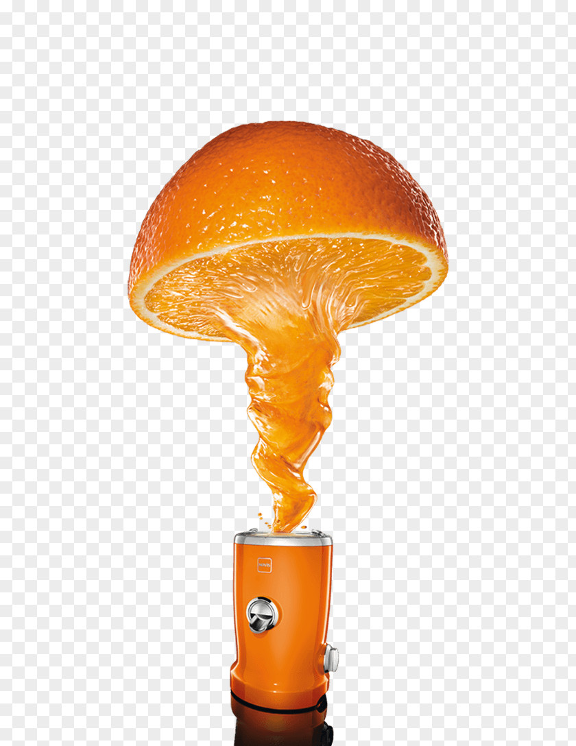 Orange Juice Top View Juicer Novis Panasonic MJ-L500 Krups ZY501D50 Wheatgrass PNG