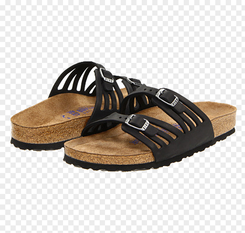 Sandal Birkenstock Shoe Leather Strap PNG