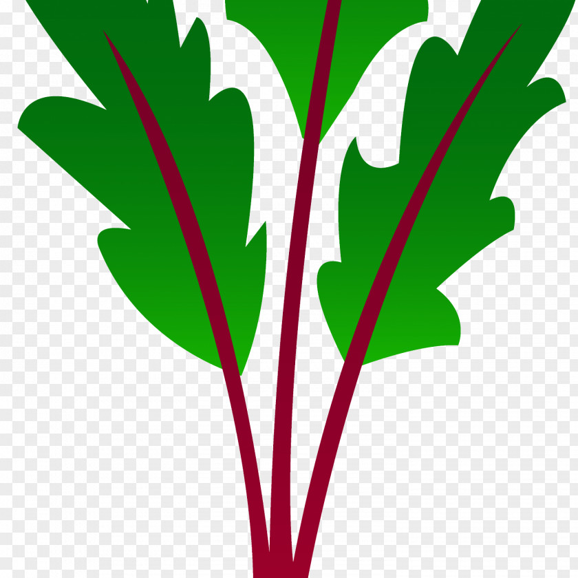 Vegetable Beetroot Tomato Clip Art PNG